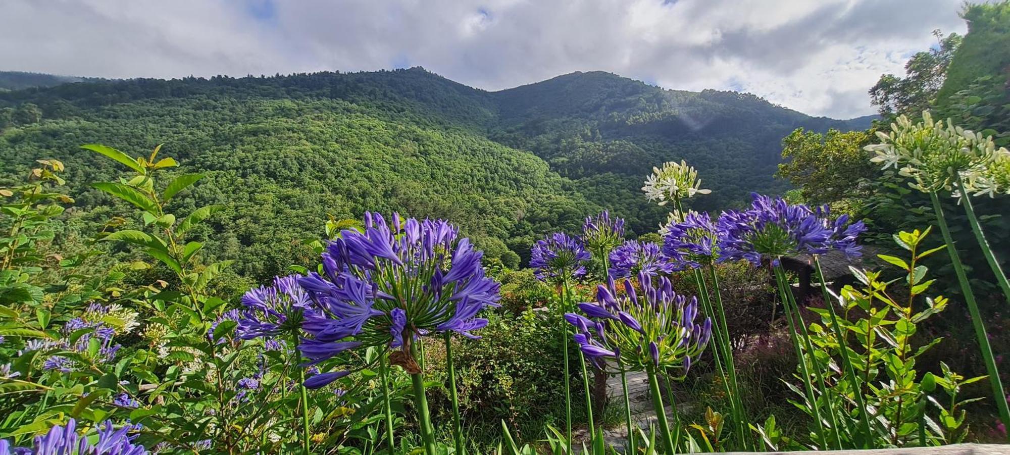 Apartamentos Rurales El Bosque De Las Vinas Boal Bagian luar foto