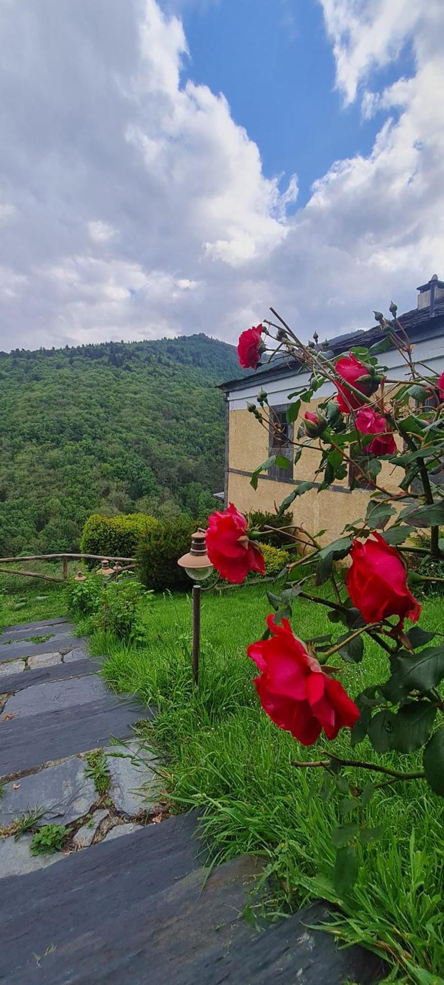 Apartamentos Rurales El Bosque De Las Vinas Boal Bagian luar foto